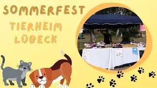 Sommerfest 🌞 Tierheim Lübeck 🐕💖🐈