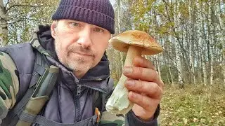 А грибы в лесу ещё есть!