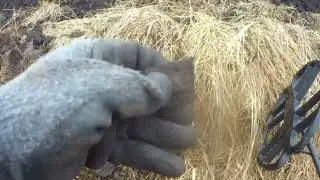 Что бы дома не сидеть, надо срочно покопать!☝️