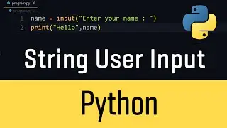 How to get User Input of String Value in Python