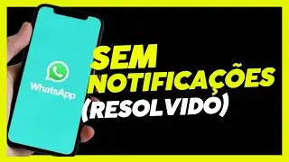 Whatsapp não envia notificações. Veja como resolver. #whatsapp #notificações