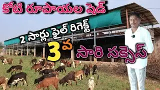 new elevated shed construction cost in telugu/ కోటి రూపాయల సబ్సిడీ ఇలా పొందండి