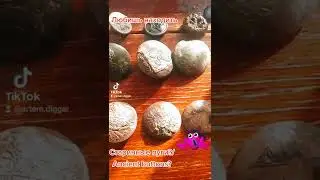 Коллекция пуговиц. Пуговицы под музыку.