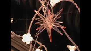 Ski Oakenfull - Illuminations