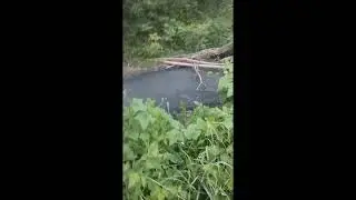 загрязнение реки