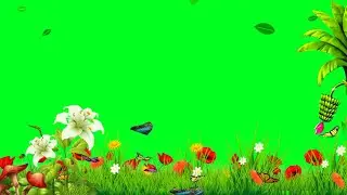 Green Screen video Full HD Green Screen Love Green Screen  background video green screen