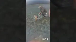 LANDING A HUGE BROWN TROUT