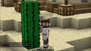 [Minecraft] Обида
