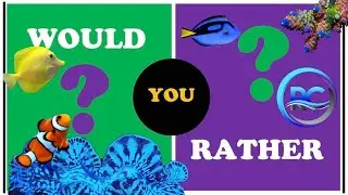 Who’s ready for this weeks show?! Reefing, Would You Rather