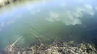 Выход на  карпа . Часть 5 . Без приключений не обходится  .