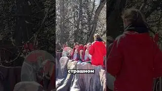 Полетели 😍😱 #обзор #влог #vlog
