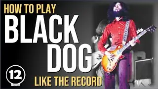 Black Dog - Led Zeppelin | Guitar Lesson