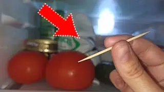ЗУБОЧИСТКА ПРОДЛИТ СРОК ХРАНЕНИЯ ПРОДУКТОВ 