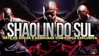 Kung Fu Shaolin do Sul: Técnicas de Mão que Definem o Combate