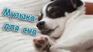 Baby sleep musik/Relaxing Baby Music/Bedtime Lullaby For Sweet Dreams/baby mozart/ Музыка для малыша