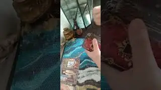 Ваш мужчина сегодня.....
