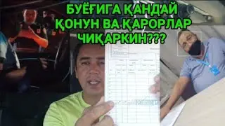 КАРАНТИН ПОСТДА 