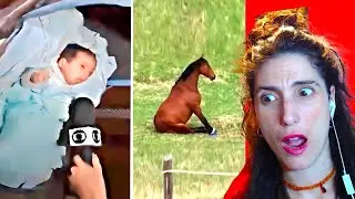 VIDEOS INUSUALES #1