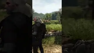 The Witcher 3 | ПЛОТВА под МОСТОМ #shorts #thewitcher3 #game #bag