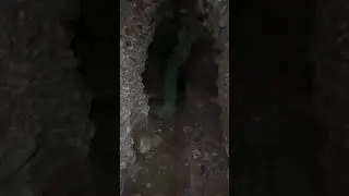 Finding a secret tunnel in the basement 😱