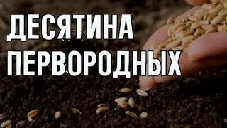Буквальная и духовная десятина
