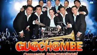 guachambe al vivo