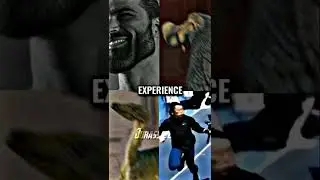Gigachad vs Dodo vs Compy vs Cameraman 
