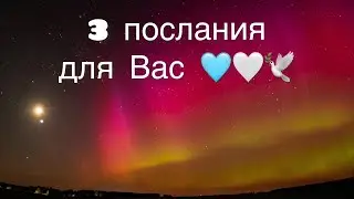 ☀️Три послания для вас 🩵🤍🕊️