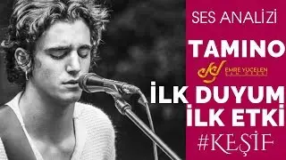 Tamino Voice Analysis 