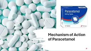 Mechanism of Action of Paracetamol_Quick