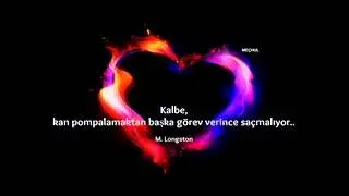 Emel Sayin Hayat Devam Ediyor