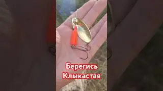 16 августа 2024 г.
