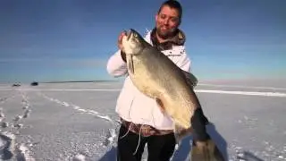 Big Fat Lake Trout