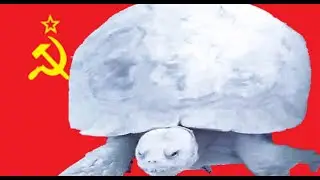 Soviet Tortoise (Music Track/Video)