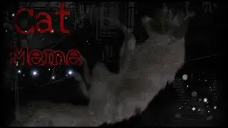 Cat meme ||WILDCRAFT|| flash warning! Ч.О ~by garmonia