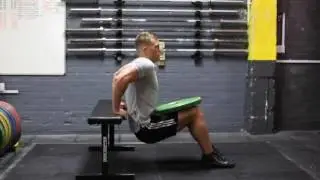 Weighted Tricep Dips