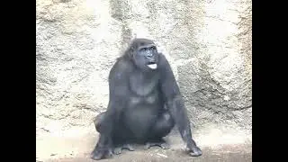 Dể thương quá