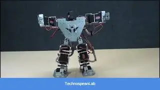 17 DOF Humanoid Robot Working Demo