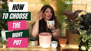 I spent 7 years testing pots for houseplants: Here's What I've Learned // Planter Review