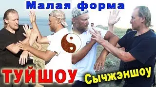 Тайцзи-туйшоу. Малая форма Сычжэншоу. Тайцзицюань Ветер-Гром