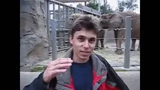 First Video On Youtube In The World || Jawed || Me At The Zoo