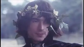 Baldwin - Beautiful Butterfly