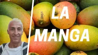 La Manga, lecco le dita ! 🥭