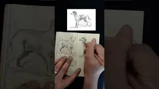 Arthur Morgan LOVES #Drawing Dogs #RDR2