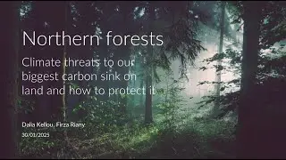 Webinar: Northern forests – climate threats to our biggest carbon sink on land and how to protect it