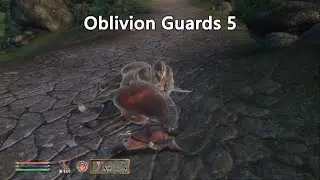 Oblivion Guards 5