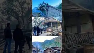 Nagaland 