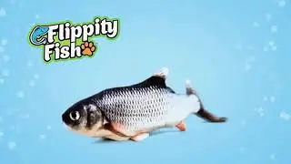 The Flippity Floppy Fish Cat Toy