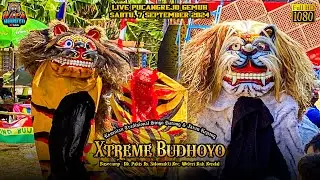 Rampak Barongan Xtreme Budhoyo Live Pucangrejo Gemuh 7/9/2024 Terbaru