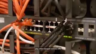 Network Switches 101: A Beginner's Guide to Understanding the Basics